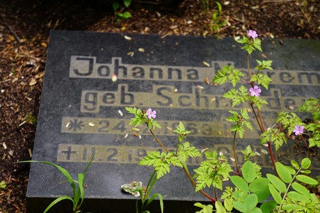 Bad Godesberg
